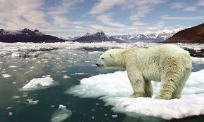 La pandemia que despejó los cielos y detuvo las ciudades no está frenando el calentamiento global