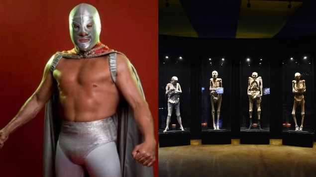 ¿Y las 22 momias “desaparecidas” en Guanajuato? Hijo de ‘El Santo’ revela dónde están