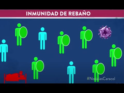 ¿Qué es la inmunidad de rebaño? Esta es la explicación de López-Gatell