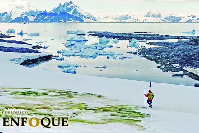 Nieve verde se extiende en la Antártida debido al cambio climático 