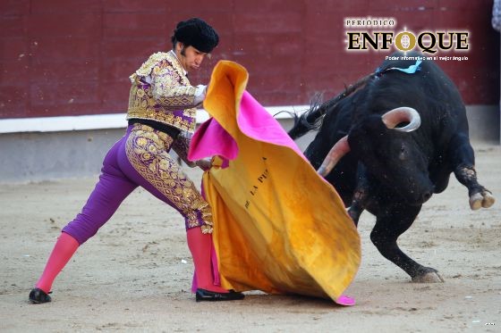 Regidores analizan desaparecer las corridas de toros