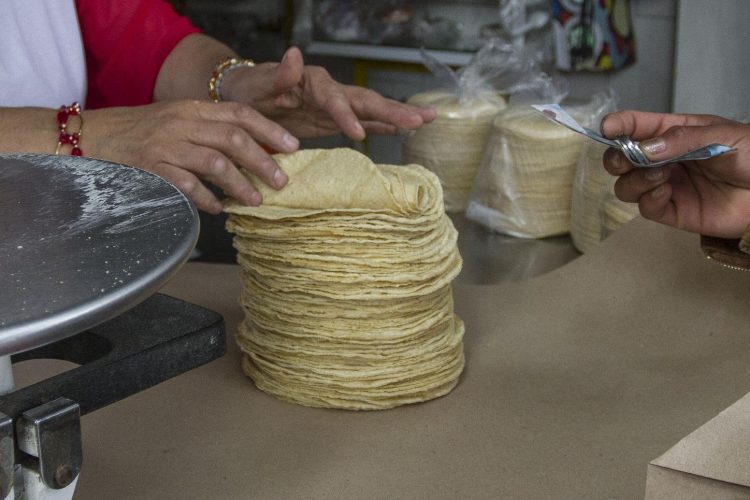 Precio de la tortilla debe mantenerse sin cambios hasta mediados de 2021: SE y Sader