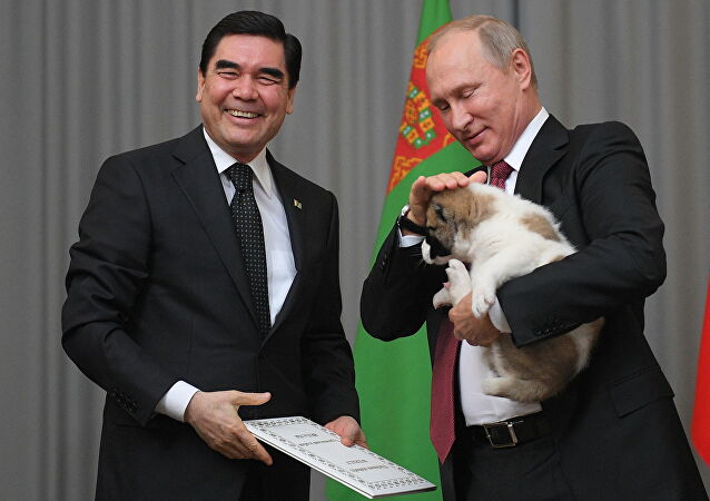 1058128555 0 0 2903 2047 638x450 80 0 0 41a0786ad749a819b92785939d6d1715