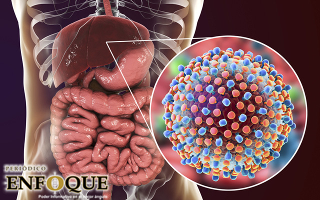 Nobel de Medicina 2020, para los 3 científicos que descubrieron la hepatitis C