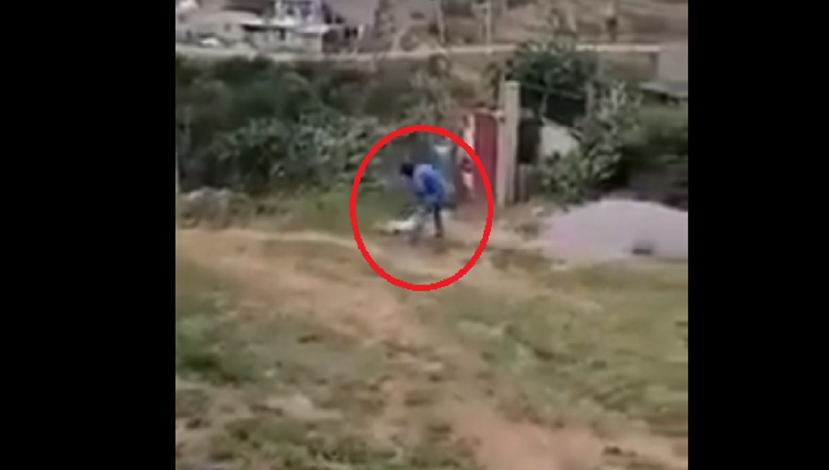 ¡Indignante! Perrita es asesinada a machetazos por un hombre (Video)