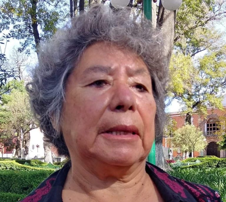 Militancia de Morena debe de estar unida: MHH
