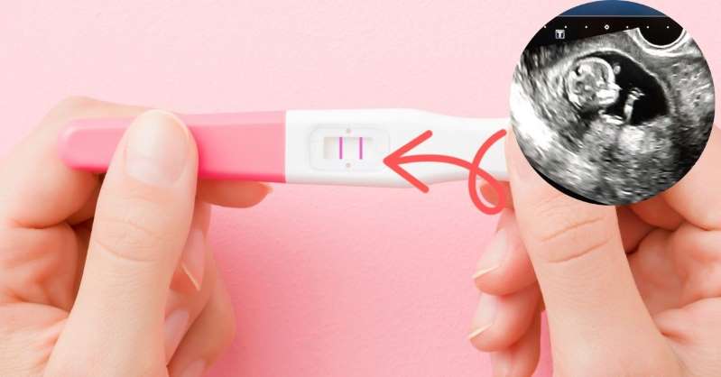 ¿Cómo funcionan las pruebas de embarazo?