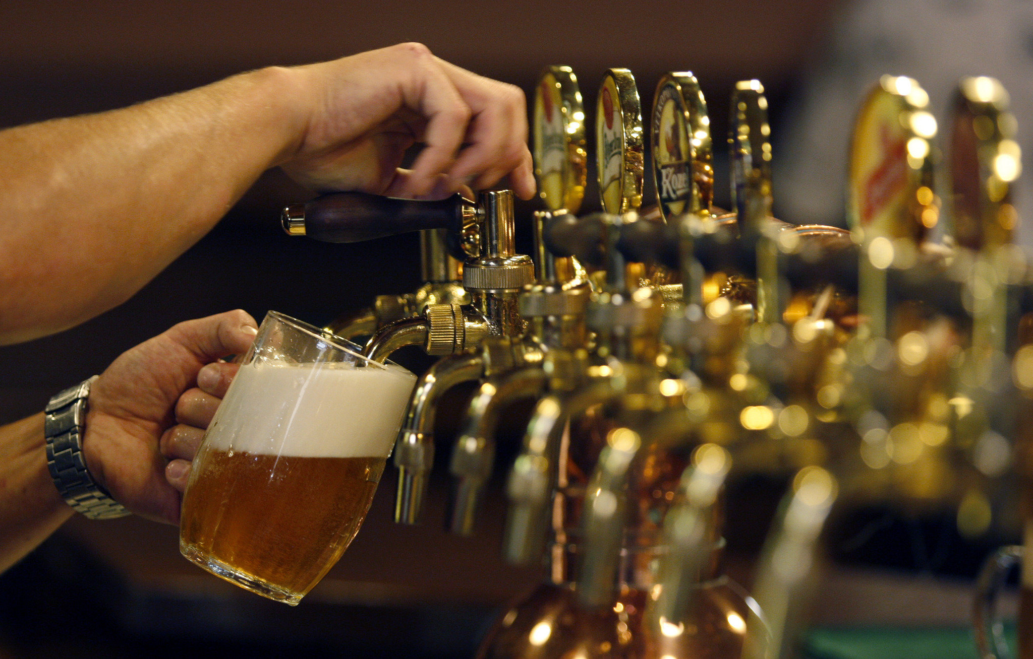 Cerveceros morelenses plantean la creación de la ‘Ruta de la Cerveza’ para detonar el turismo en la entidad