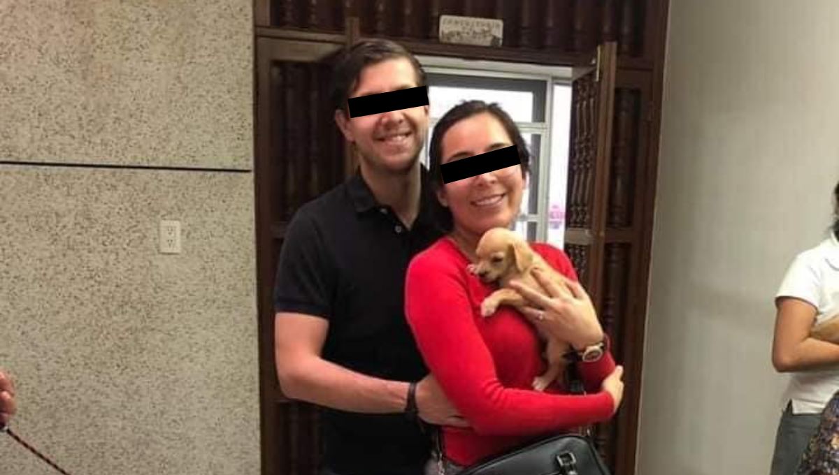 Denuncian a pareja que adopta perros para alimentar a sus víboras