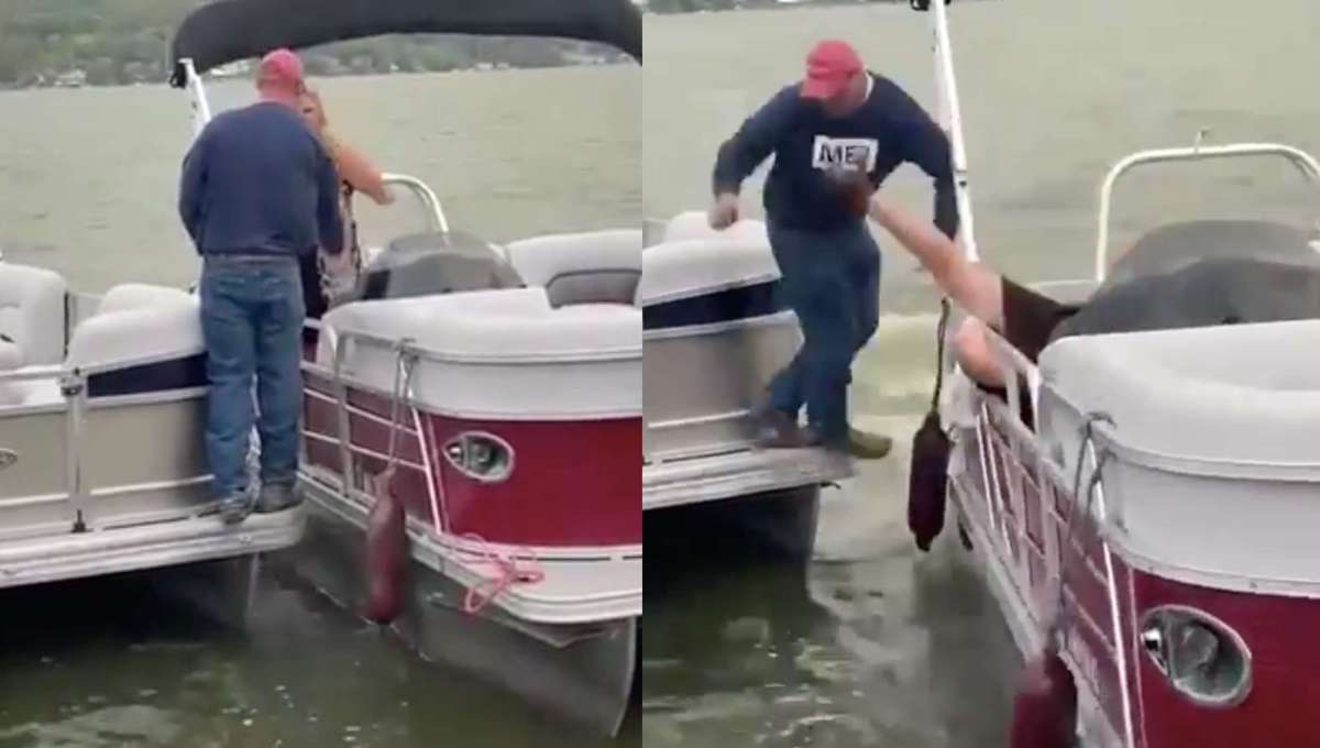 Propuestas que salen mal: desde caer al agua hasta descubrir que son hermanos (Video)