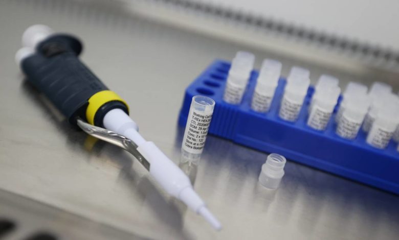 Molnupiravir, el fármaco experimental que podría detener COVID-19 en 24 horas