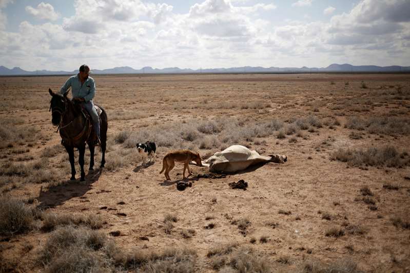 La sequía abarca el 83% del territorio de México
