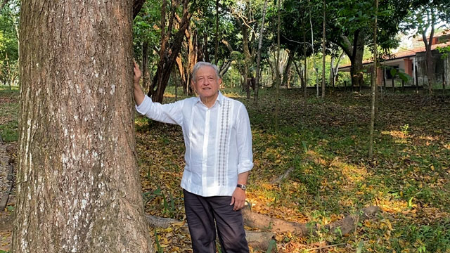 AMLO propondrá a Biden dar visas a campesinos del programa Sembrando Vida