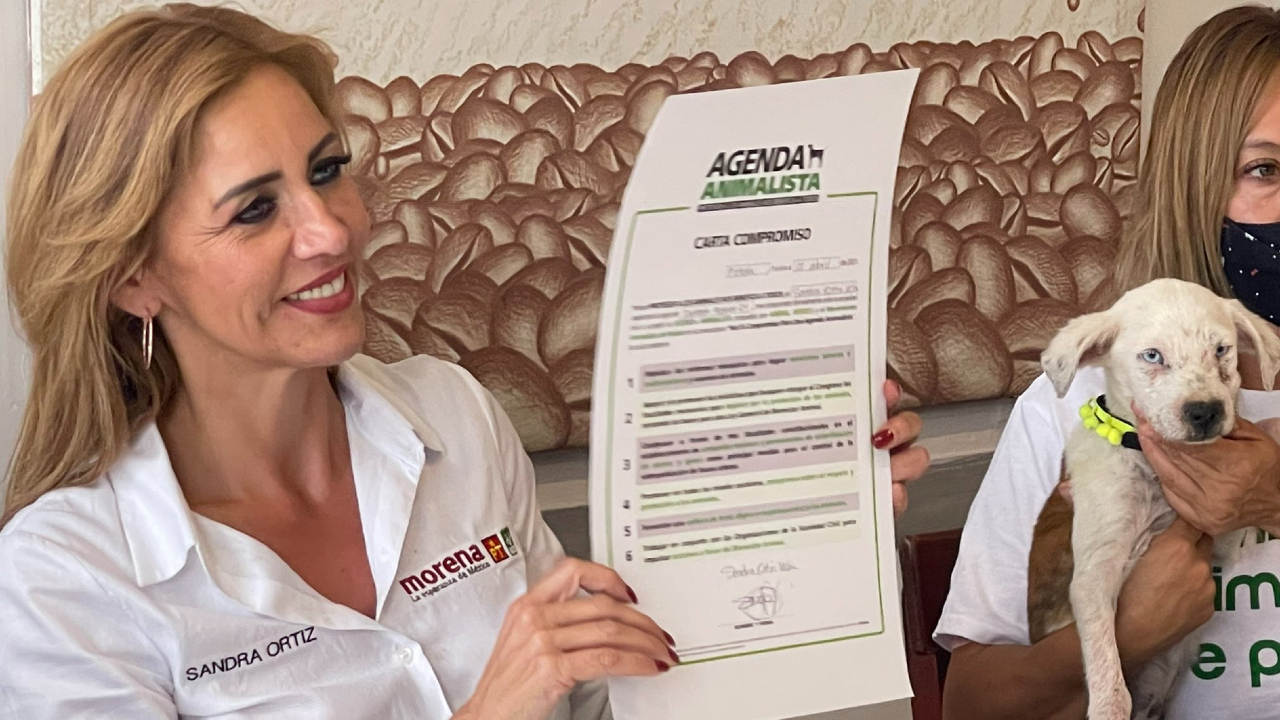 Candidata del Partido Verde dice comprometerse a promover reformas a favor del Bienestar Animal.