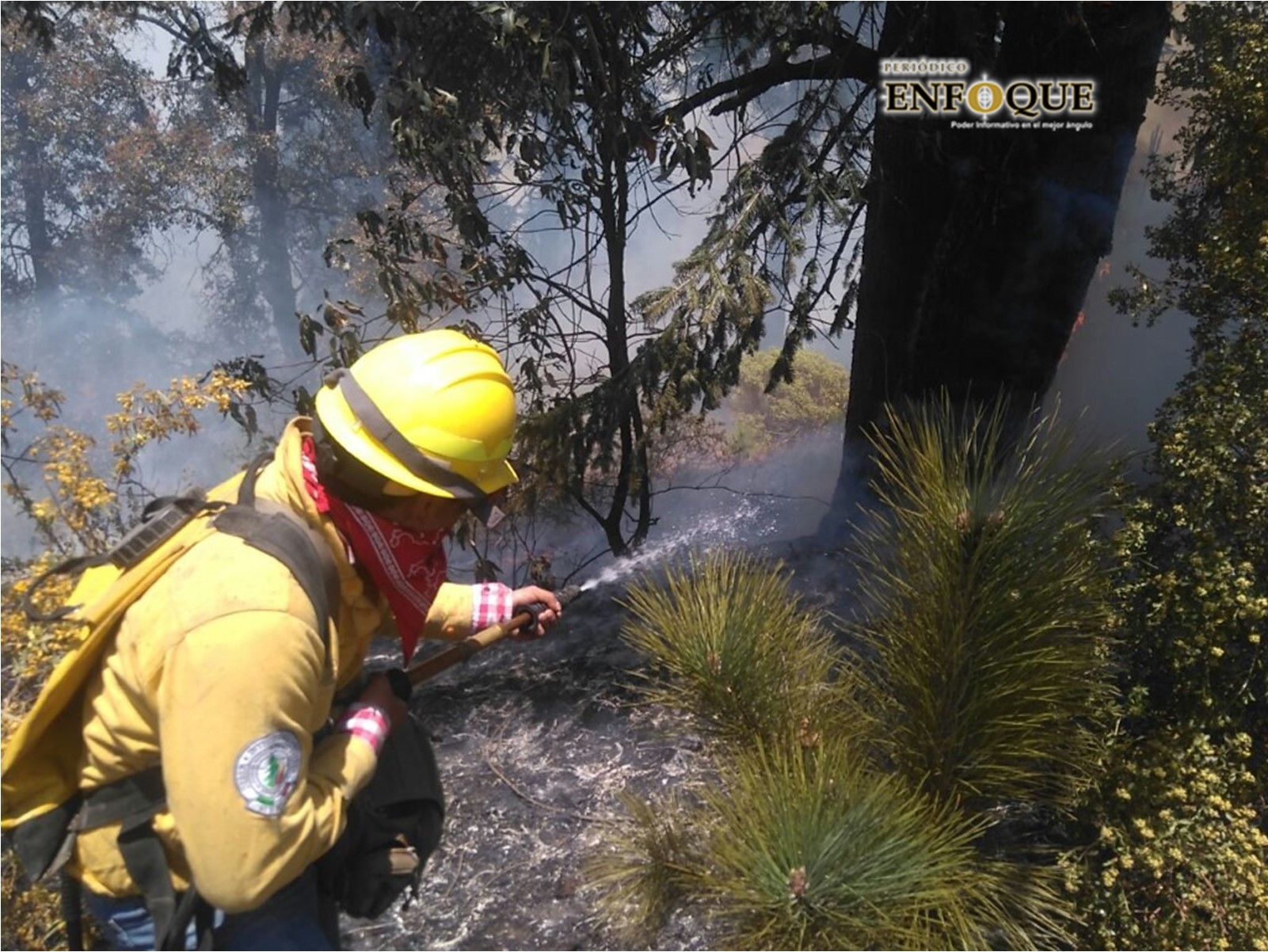 Emiten recomendaciones para prevenir incendios forestales en Acajete 