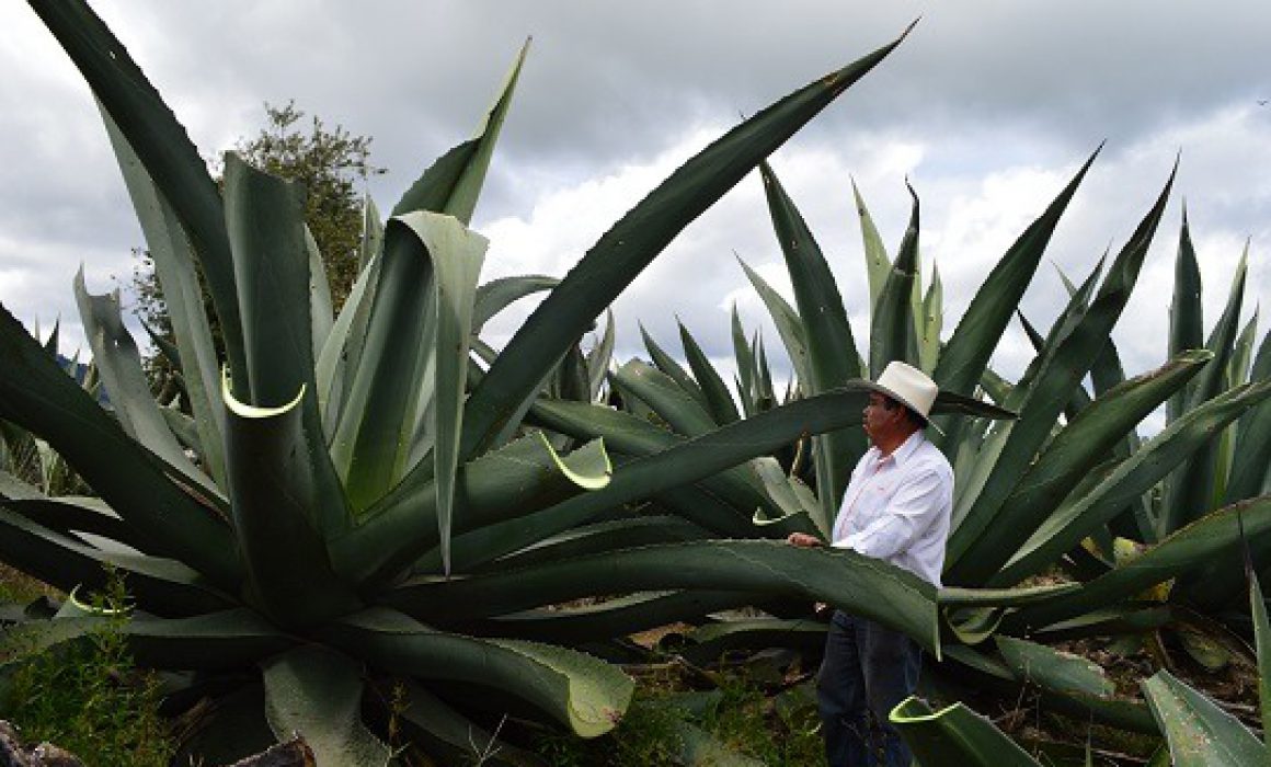 Abre ITC convocatoria PACMYC 2021