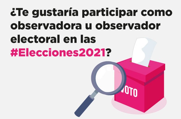 Invita INE Tlaxcala a participar como observadora u observador en las próximas elecciones