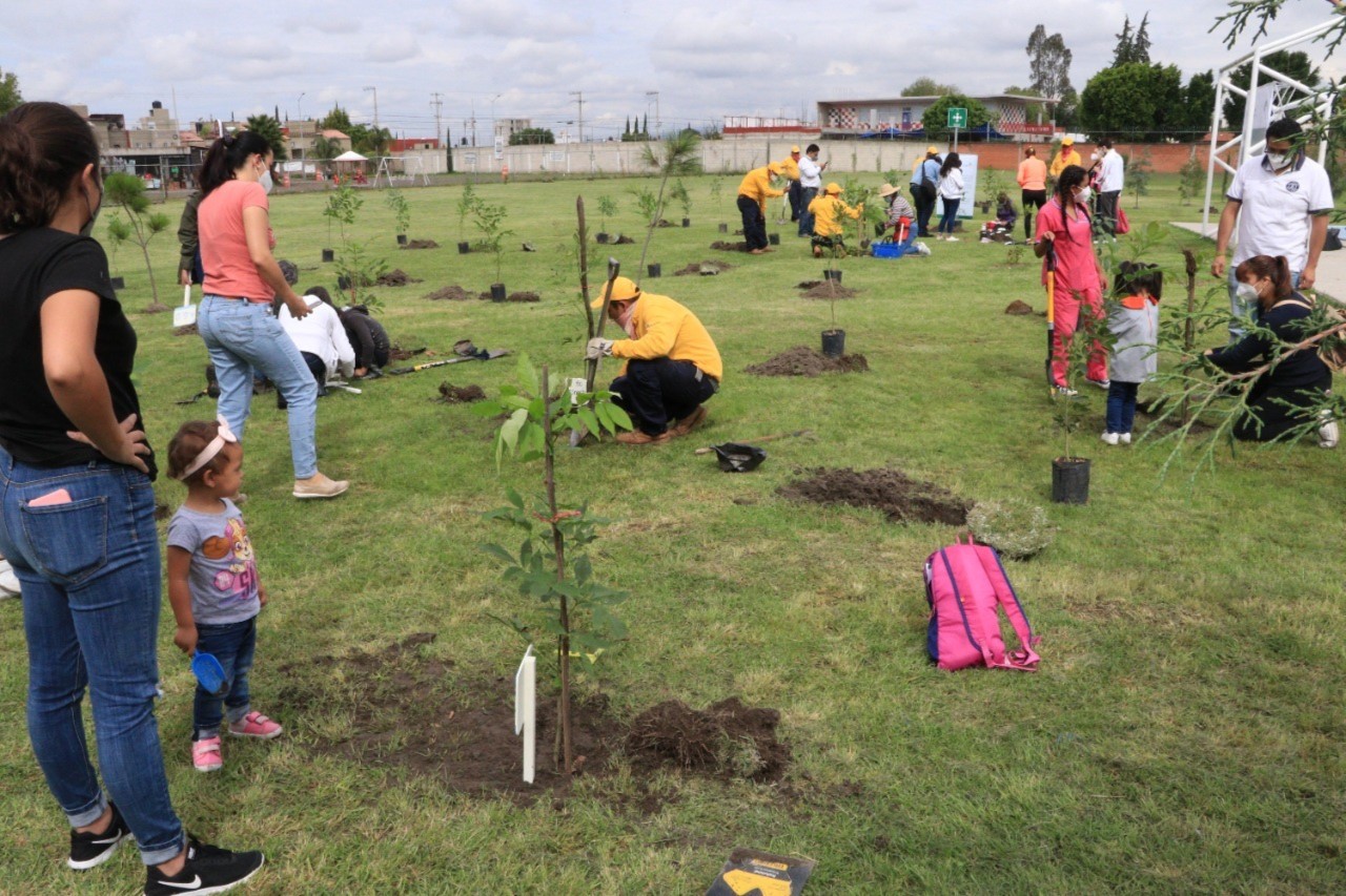 Se impulsarán jornadas de reforestación en Amozoc y Tecali de Herrera 