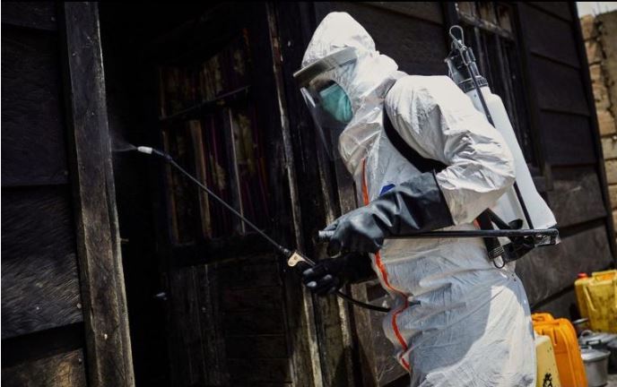 Confirman la primera muerte por el virus de Marburgo en África