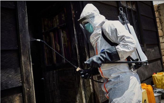 Confirman la primera muerte por el virus de Marburgo: África 