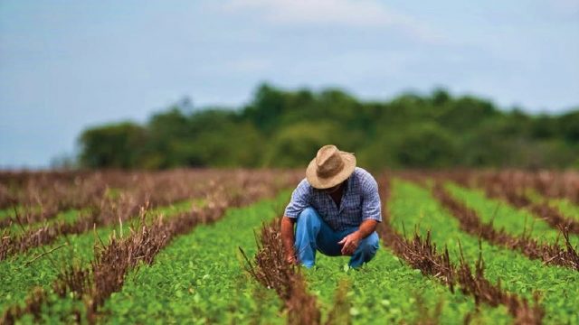 Producción de alimentos en México no se detiene pese a la pandemia