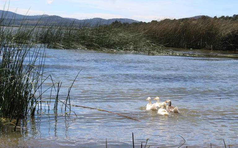 Presa de Atlangatepec puede secarse en 10 años.