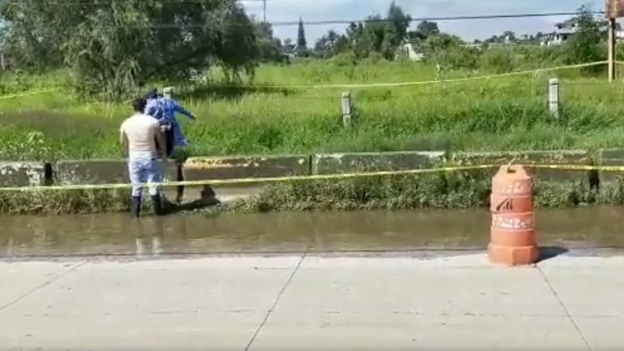 Encuentran en Coronango un cadáver desmembrado 