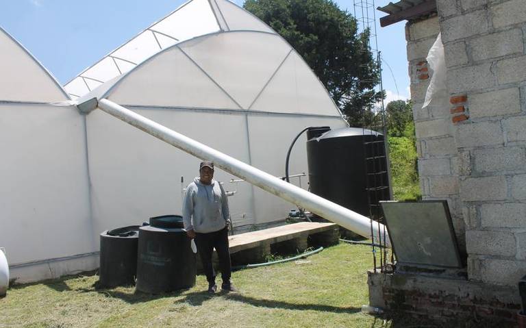 Productores utilizan el agua de la lluvia para sus hortalizas