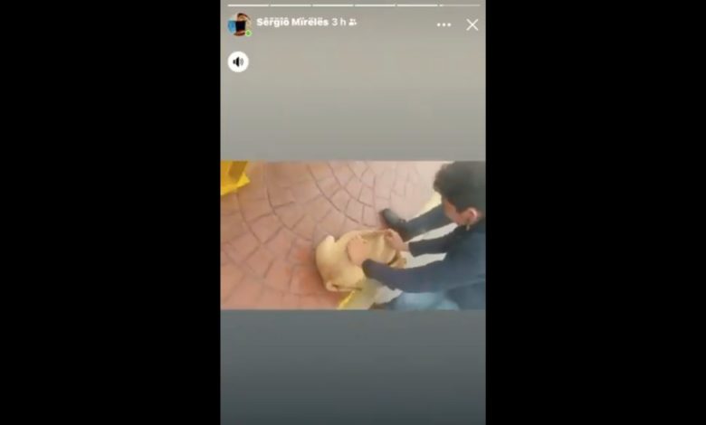 "Solo por diversión": Joven lanza a un perro al río crecido por el paso de “Grace" mientras se burla (Video)