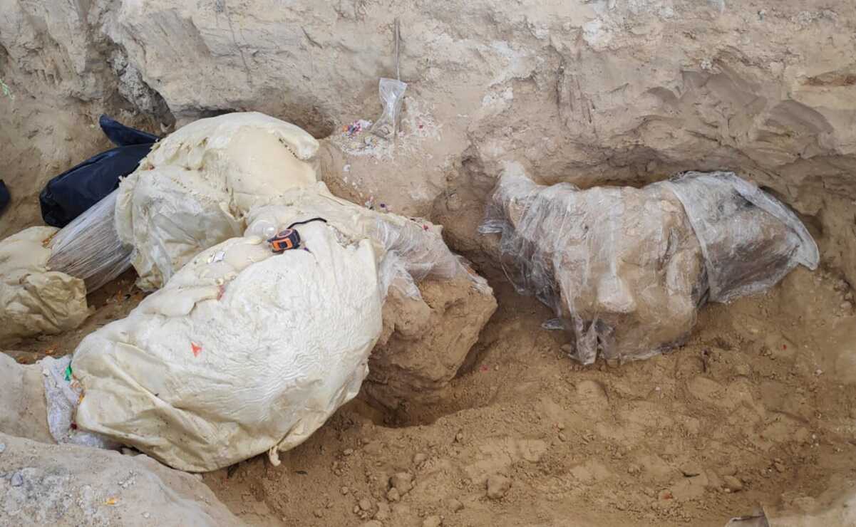Confirma el INAH que restos encontrados en Puebla pertenecen a un mamut de hace más de 10 mil años 