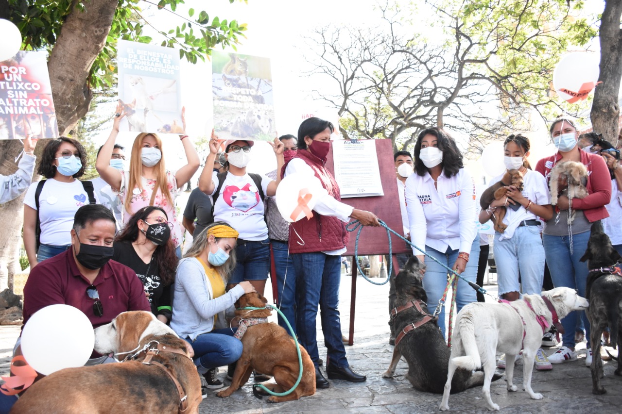 Ayuntamiento de Atlixco emprende acciones en favor del bienestar animal