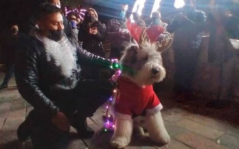 En San Juan Totolac se organizó una noche de Navidad con las mascotas