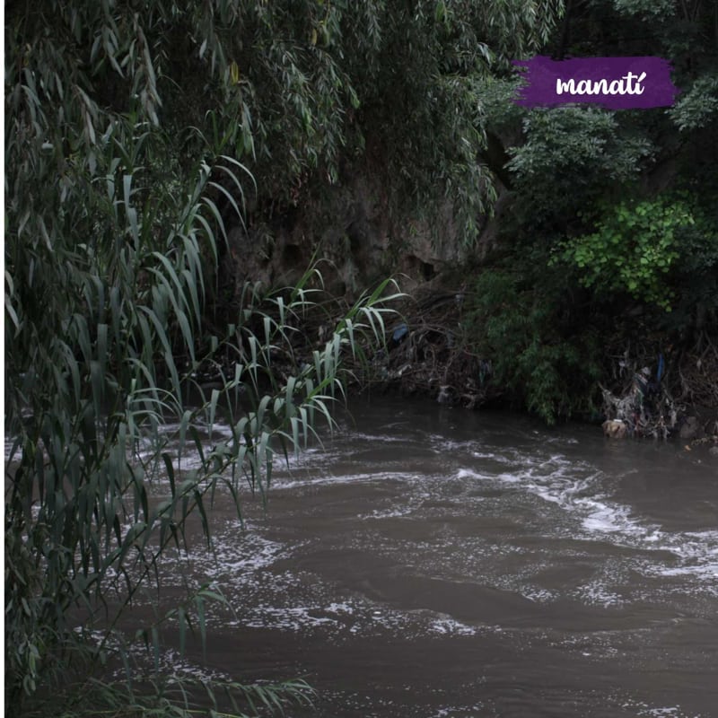 Policía encuentra pedazos del cuerpo de una persona cerca del río Atoyac, altura de San Antonio Arenilla