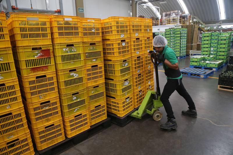 Exportaciones mexicanas alcanzan en noviembre su mayor alza en más de un año