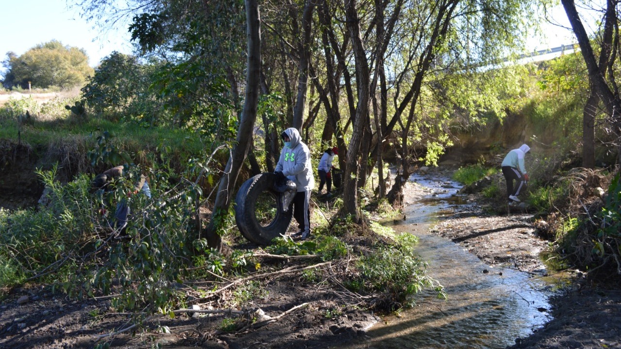 SMA atendió problemas ambientales en 2021