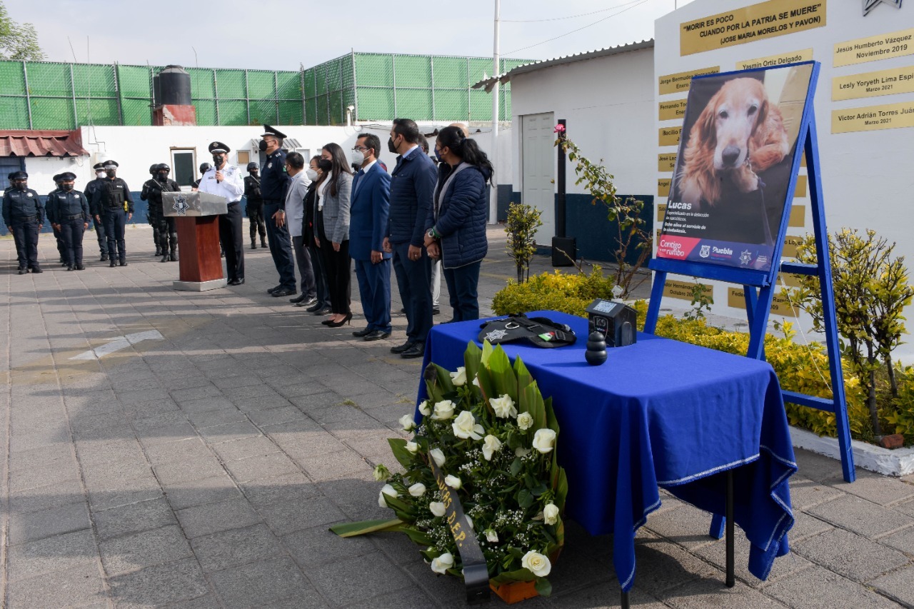 Realizan ceremonia de despedida a ejemplar canino especializado en detección de drogas