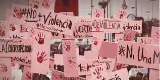 A más de 100 días, gobierno no ha acatado Alerta de Violencia de Género: colectivo