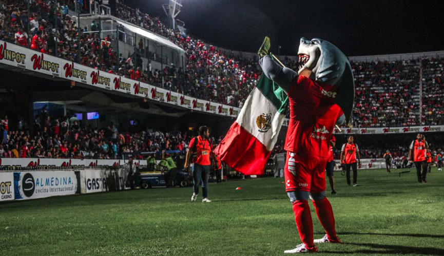 Señalan a Gustavo Guzmán de quedarse con millonario pago de Fidel Kuri a TV Azteca