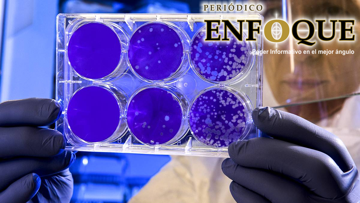 .¿Qué hace tan Contagiosa la nueva Cepa de Coronavirus?