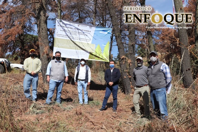 Inician rescate del cerro Zapotecas de Cholula con plantación de 33 mil árboles