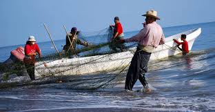Prevén alza de 15.52% de producción pesquera y acuícola nacional