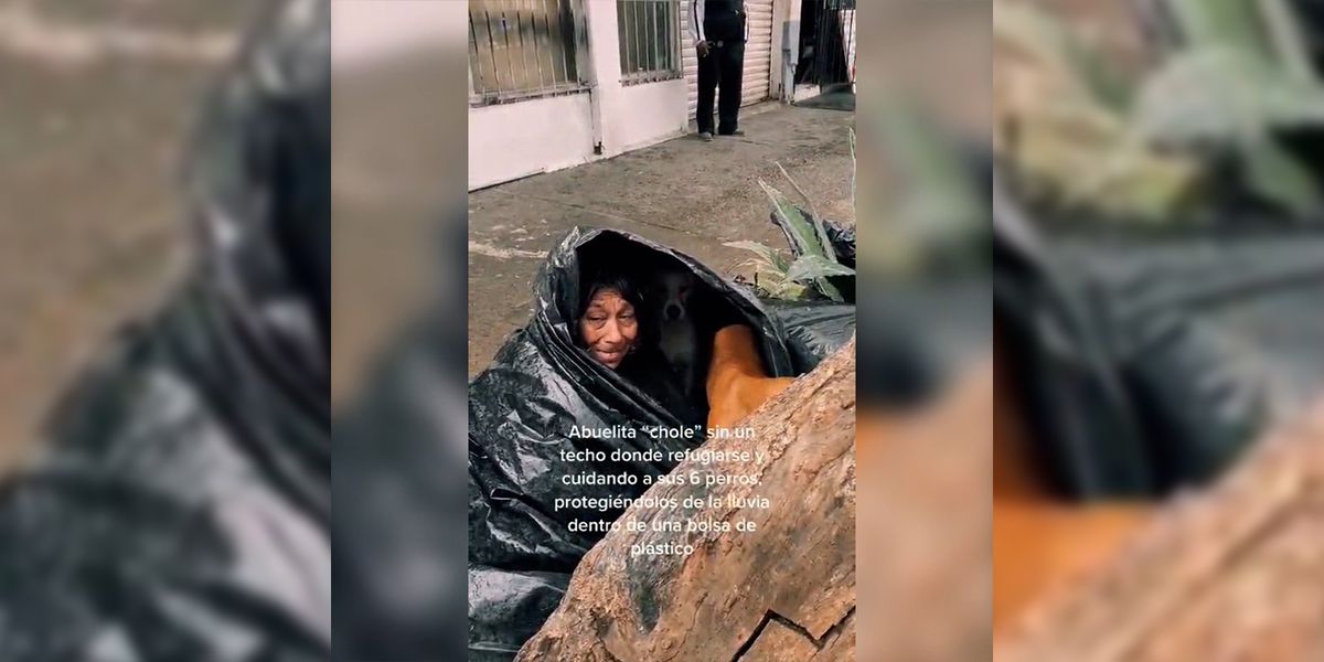 Soledad prefiere dormir en la calle a separarse de sus perros en Tijuana