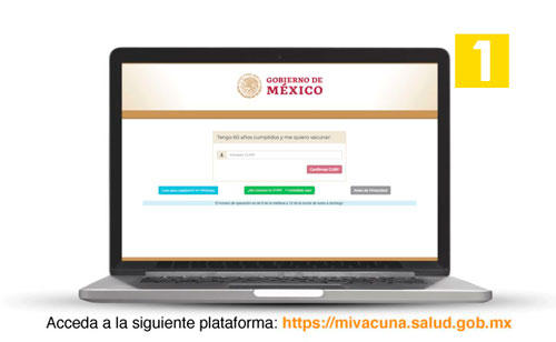 1 plataforma vacuna