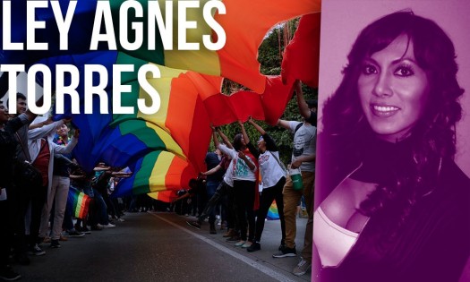 IDHIE de la IBERO Puebla pide a diputados a prueben Ley Agnes