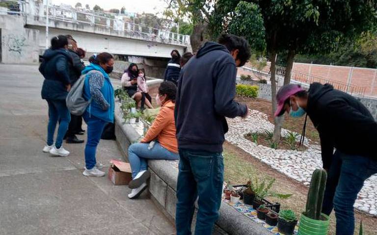 Intercambio de plantas en Tlaxcala 