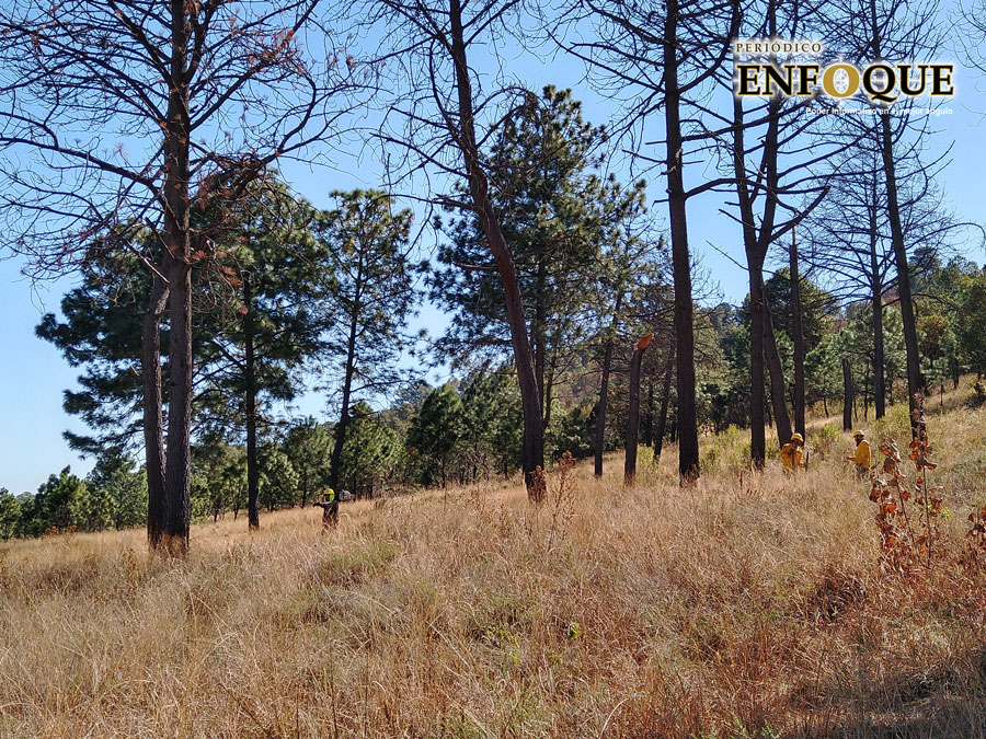 Van 70 incendios forestales en San Pedro Cholula en este 2021, principalmente son de pastizales