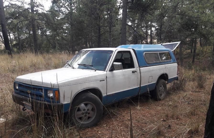 PFM en Tlaxcala asegura recurso forestal maderable