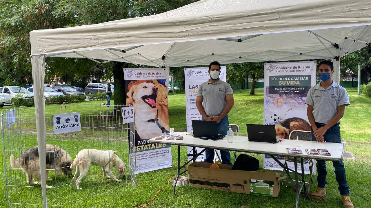 San Andrés Cholula acogió una nueva edición del #PerroGatoFest