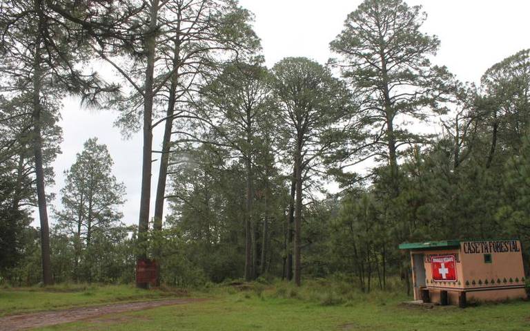 Continúan los cuidados y actividades en entornos de las luciérnagas