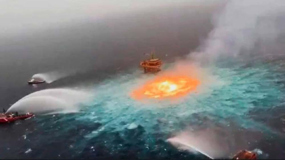 Tortugas, delfines y miles de especies marinas, las víctimas del ‘fuego en el mar’ en Campeche